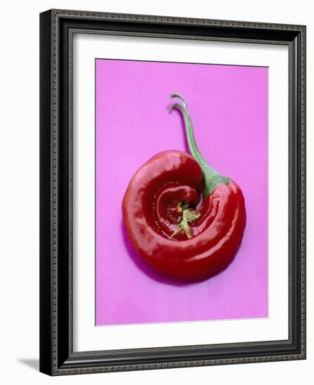 Chili Pepper, Round-Marc O^ Finley-Framed Photographic Print