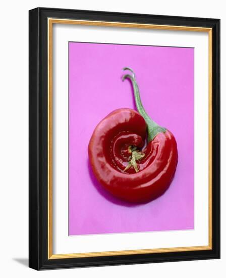 Chili Pepper, Round-Marc O^ Finley-Framed Photographic Print