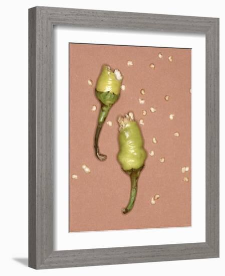 Chili Pepper with Seeds-Alexander Feig-Framed Photographic Print