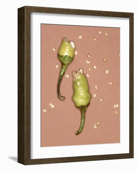 Chili Pepper with Seeds-Alexander Feig-Framed Photographic Print