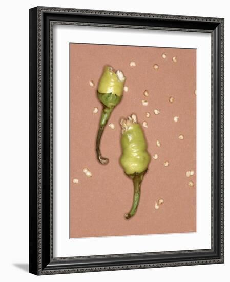 Chili Pepper with Seeds-Alexander Feig-Framed Photographic Print