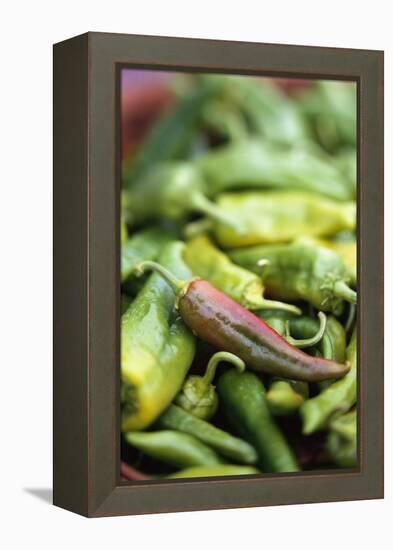 Chili Peppers at Market-Stuart Westmorland-Framed Premier Image Canvas