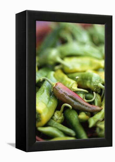 Chili Peppers at Market-Stuart Westmorland-Framed Premier Image Canvas