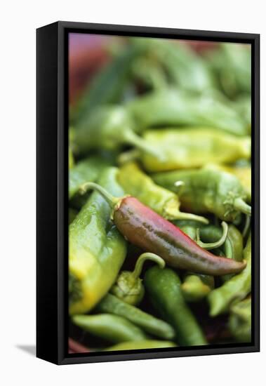 Chili Peppers at Market-Stuart Westmorland-Framed Premier Image Canvas