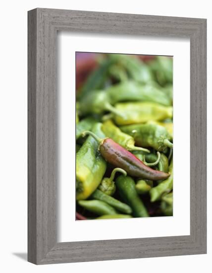 Chili Peppers at Market-Stuart Westmorland-Framed Photographic Print