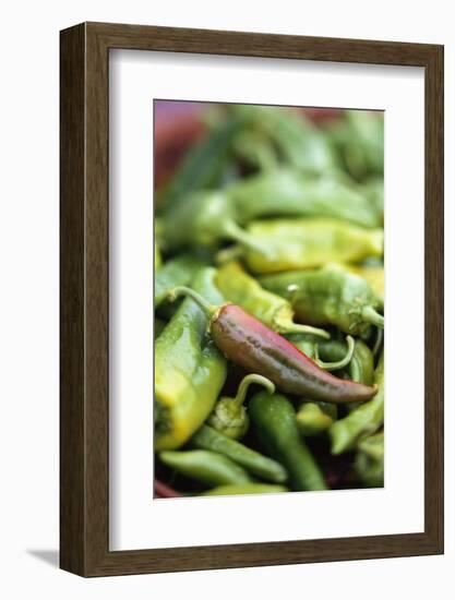 Chili Peppers at Market-Stuart Westmorland-Framed Photographic Print