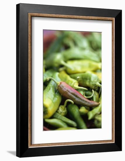 Chili Peppers at Market-Stuart Westmorland-Framed Photographic Print