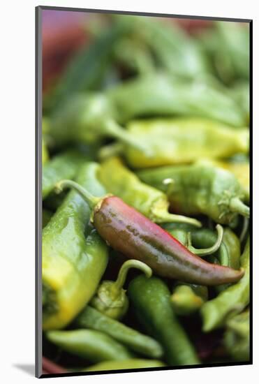 Chili Peppers at Market-Stuart Westmorland-Mounted Photographic Print