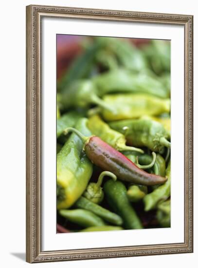 Chili Peppers at Market-Stuart Westmorland-Framed Photographic Print