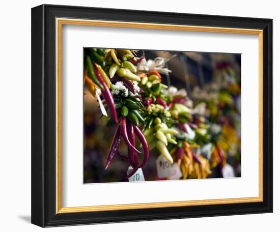 Chili Peppers in Pike Place Market, Seattle, WA-Walter Bibikow-Framed Photographic Print