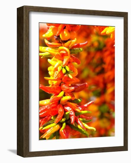 Chili Peppers, Seattle Public Market, Washington, USA-Michele Westmorland-Framed Photographic Print