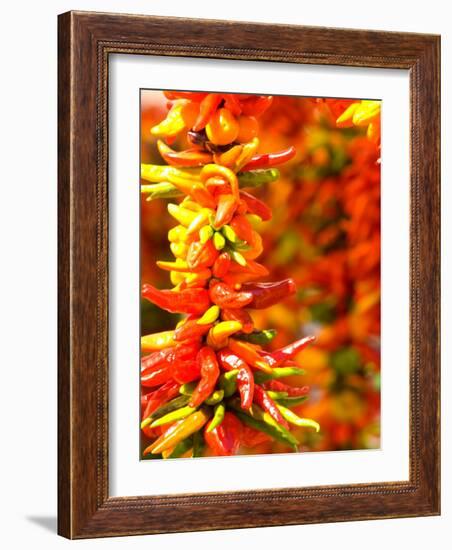 Chili Peppers, Seattle Public Market, Washington, USA-Michele Westmorland-Framed Photographic Print