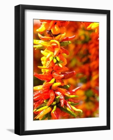 Chili Peppers, Seattle Public Market, Washington, USA-Michele Westmorland-Framed Photographic Print