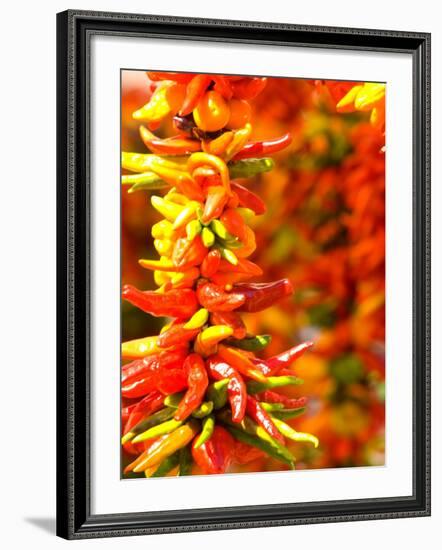 Chili Peppers, Seattle Public Market, Washington, USA-Michele Westmorland-Framed Photographic Print