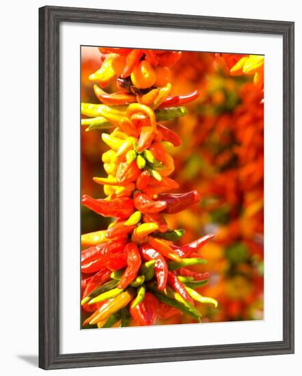 Chili Peppers, Seattle Public Market, Washington, USA-Michele Westmorland-Framed Photographic Print