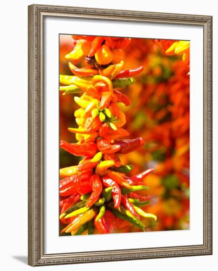 Chili Peppers, Seattle Public Market, Washington, USA-Michele Westmorland-Framed Photographic Print