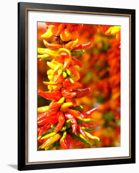 Chili Peppers, Seattle Public Market, Washington, USA-Michele Westmorland-Framed Photographic Print