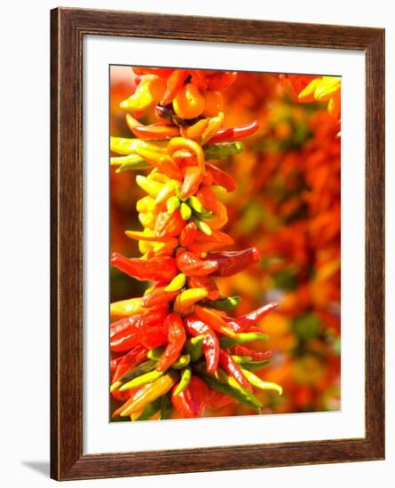 Chili Peppers, Seattle Public Market, Washington, USA-Michele Westmorland-Framed Photographic Print