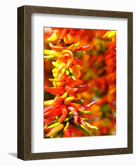 Chili Peppers, Seattle Public Market, Washington, USA-Michele Westmorland-Framed Photographic Print