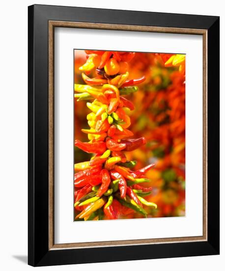 Chili Peppers, Seattle Public Market, Washington, USA-Michele Westmorland-Framed Photographic Print