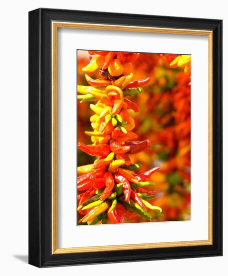 Chili Peppers, Seattle Public Market, Washington, USA-Michele Westmorland-Framed Photographic Print