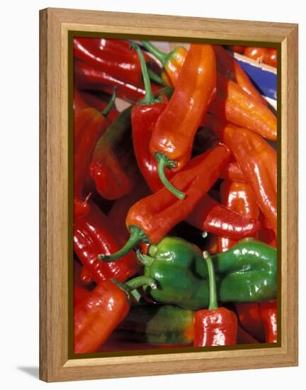 Chili Peppers, Siracusa, Italy-Dave Bartruff-Framed Premier Image Canvas