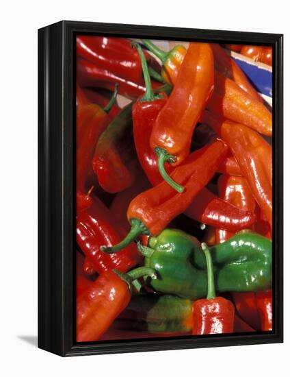 Chili Peppers, Siracusa, Italy-Dave Bartruff-Framed Premier Image Canvas