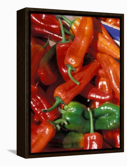 Chili Peppers, Siracusa, Italy-Dave Bartruff-Framed Premier Image Canvas