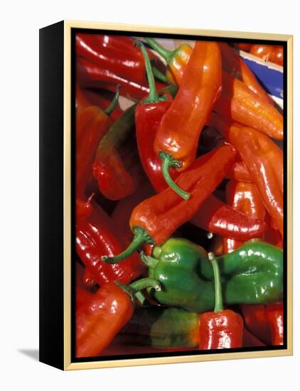 Chili Peppers, Siracusa, Italy-Dave Bartruff-Framed Premier Image Canvas