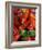 Chili Peppers, Siracusa, Italy-Dave Bartruff-Framed Photographic Print