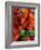 Chili Peppers, Siracusa, Italy-Dave Bartruff-Framed Photographic Print