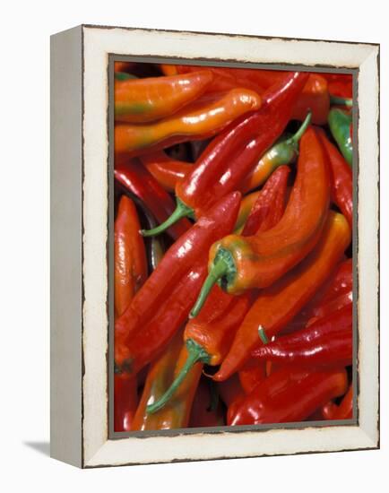 Chili Peppers, Siracusa, Italy-Dave Bartruff-Framed Premier Image Canvas