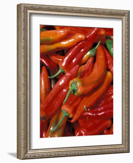 Chili Peppers, Siracusa, Italy-Dave Bartruff-Framed Photographic Print