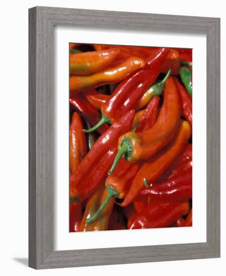 Chili Peppers, Siracusa, Italy-Dave Bartruff-Framed Photographic Print