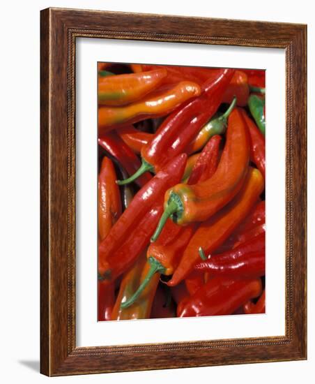 Chili Peppers, Siracusa, Italy-Dave Bartruff-Framed Photographic Print