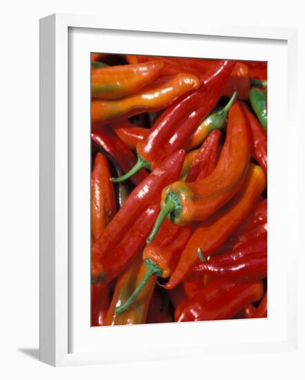 Chili Peppers, Siracusa, Italy-Dave Bartruff-Framed Photographic Print