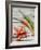 Chili Peppers, Whole and Sliced-Winfried Heinze-Framed Photographic Print