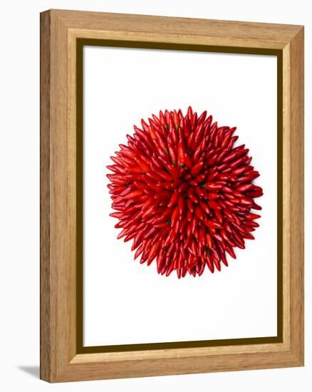 Chili peppers-null-Framed Premier Image Canvas