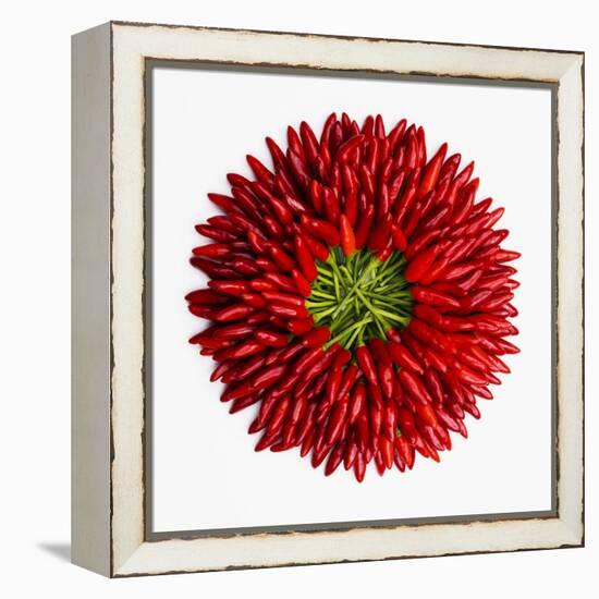 Chili Peppers-null-Framed Premier Image Canvas