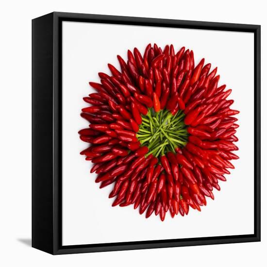 Chili Peppers-null-Framed Premier Image Canvas