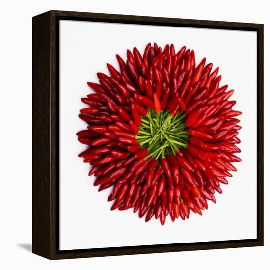 Chili Peppers-null-Framed Premier Image Canvas