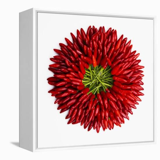 Chili Peppers-null-Framed Premier Image Canvas