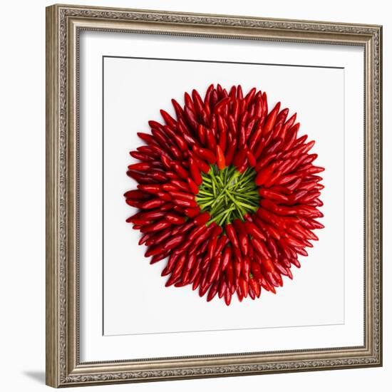 Chili Peppers-null-Framed Premium Photographic Print