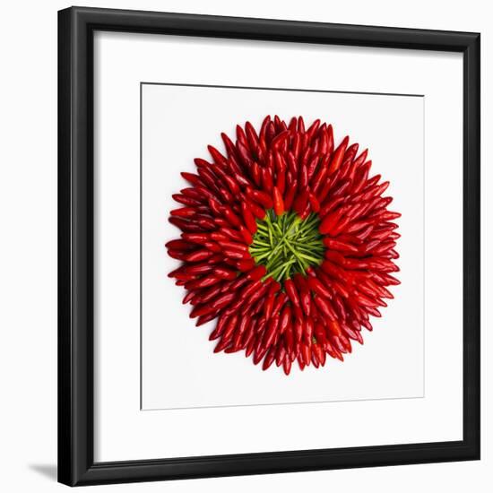 Chili Peppers-null-Framed Premium Photographic Print