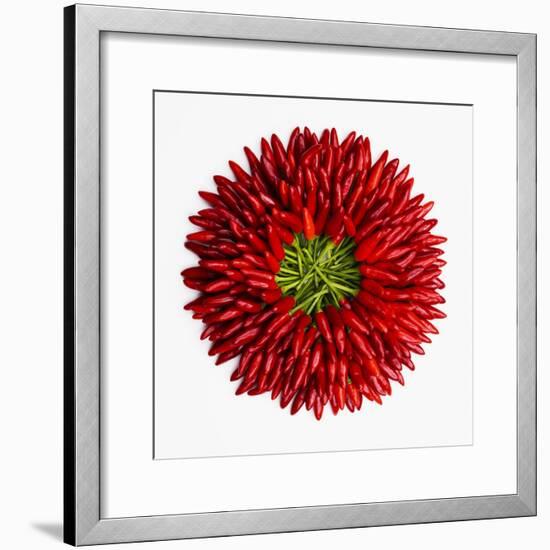 Chili Peppers-null-Framed Premium Photographic Print