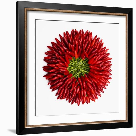 Chili Peppers-null-Framed Premium Photographic Print