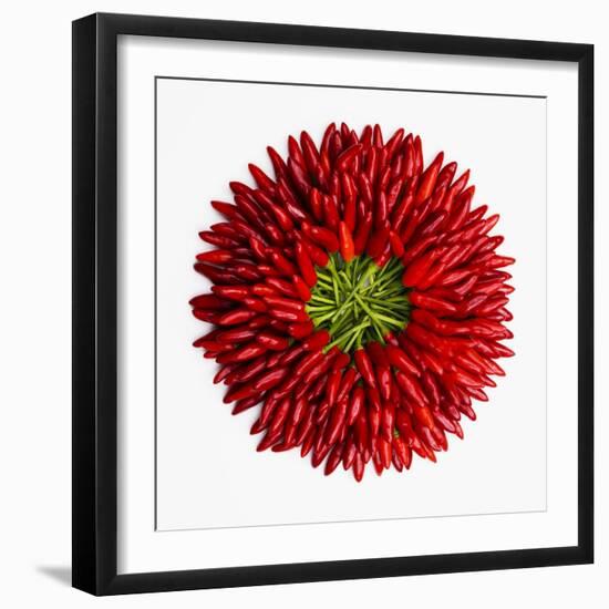 Chili Peppers-null-Framed Premium Photographic Print