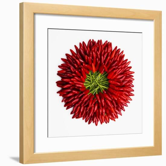 Chili Peppers-null-Framed Premium Photographic Print