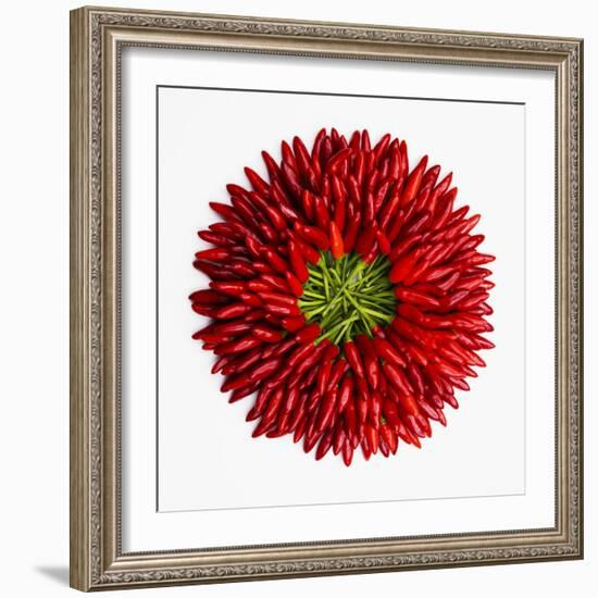 Chili Peppers--Framed Photographic Print