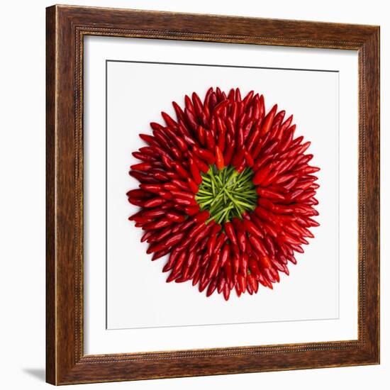 Chili Peppers-null-Framed Photographic Print